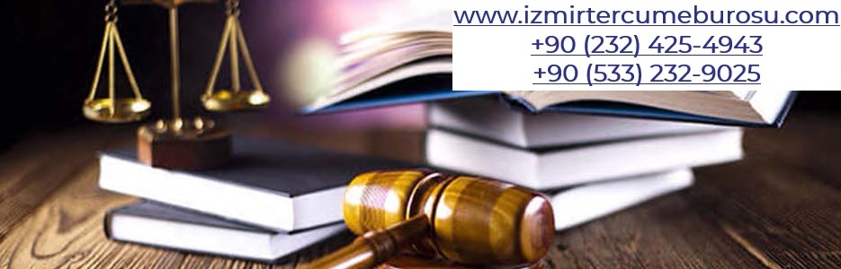 izmir patent terc�mesi, izmir yeminli terc�man, izmir teknik spesifikasyon terc�mesi, izmir tescil i�lemleri terc�me